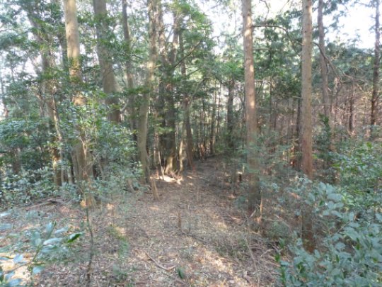 画像8